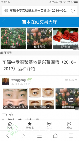 Screenshot_2017-05-28-17-14-38-969_com.tencent.mtt.png