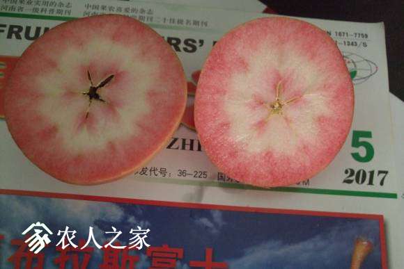 ����˹���� 073.jpg