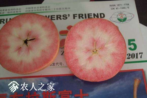 ����˹���� 074.jpg