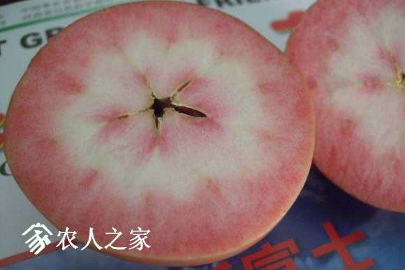 ����˹���� 075.jpg