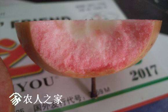 ����˹���� 076.jpg