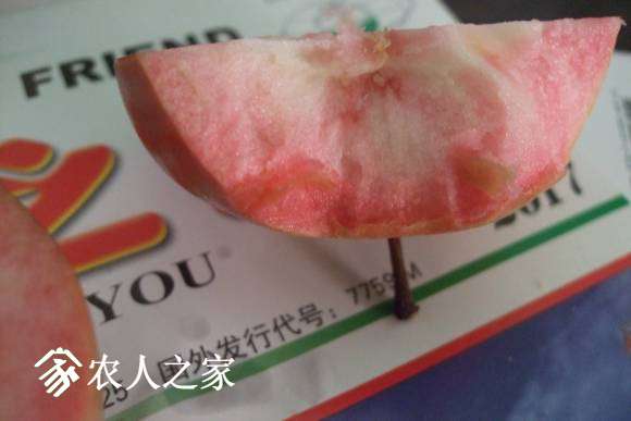 ����˹���� 077.jpg