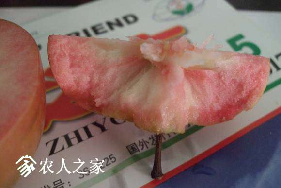 ����˹���� 078.jpg