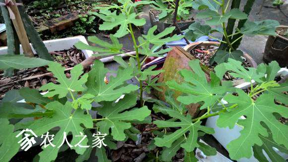 WP_20170520_18_15_22_Pro.jpg