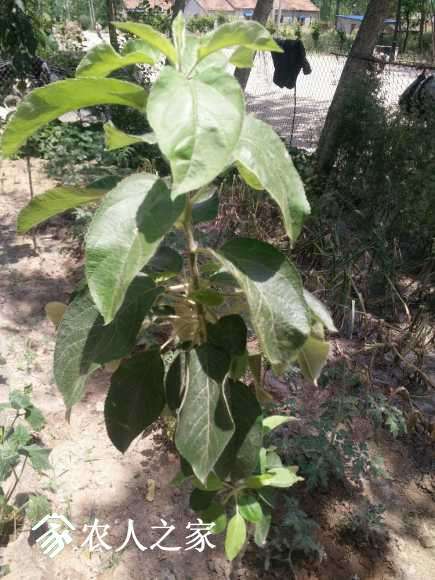 IMG20170529113723.jpg