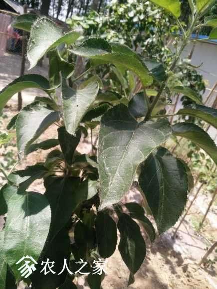 IMG20170529113748.jpg