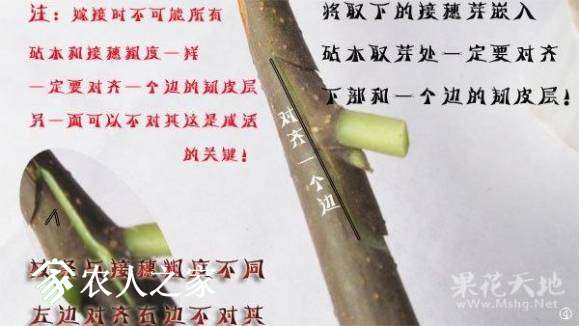 3e50009f11a4d905dac.jpg