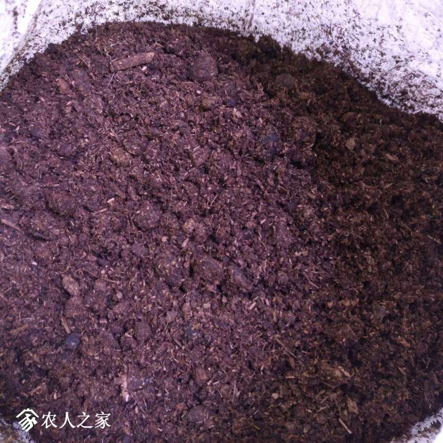 204229z2hkixx8aahax49p.jpg