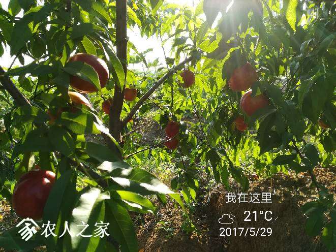 221912fu3ssh03u3syyp3x.jpg