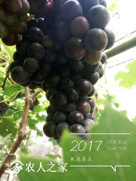 QQͼƬ20170530110235.jpg