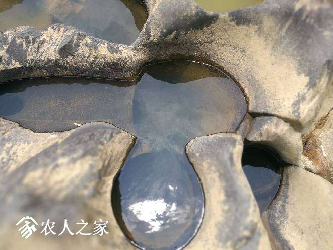 163401cxfax1hffgeixwaw.jpg