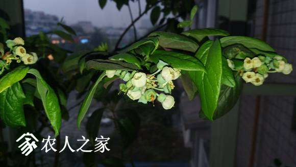 20170406_184625.jpg