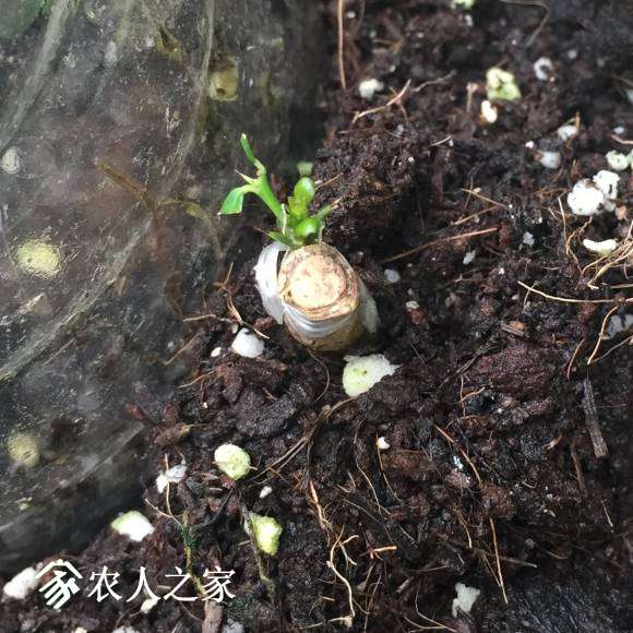 image_1496199029.191477.jpg