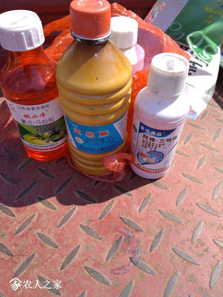 140320vtzemoojfzd2ajw2.jpg