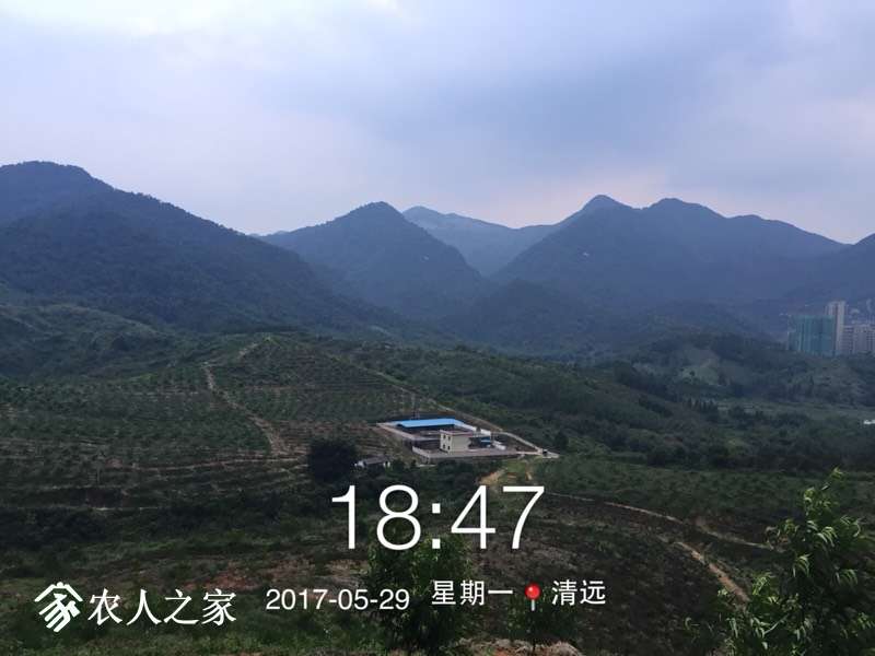142138dx8vjff8jvifjr8x.jpg