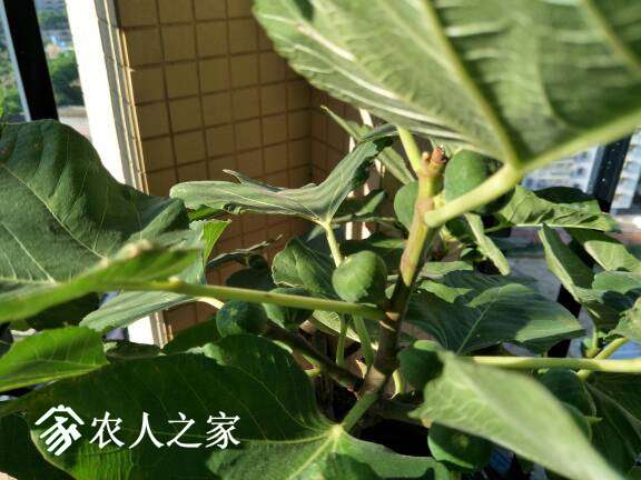 181923xu6mz6616b6nlt16.jpg