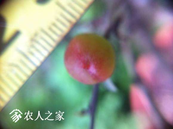IMG_3399.JPG