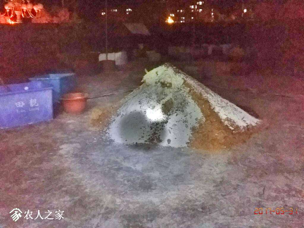 223658pnkejaff5qkqej2n.jpg