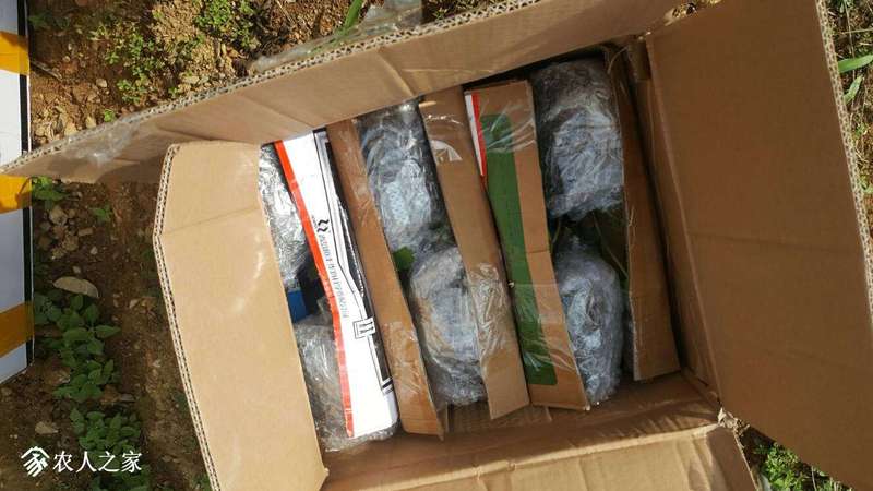 224714gj00zgxezvg11x99.jpg