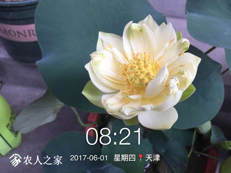085518dy411bf6k14g9iiz.jpg