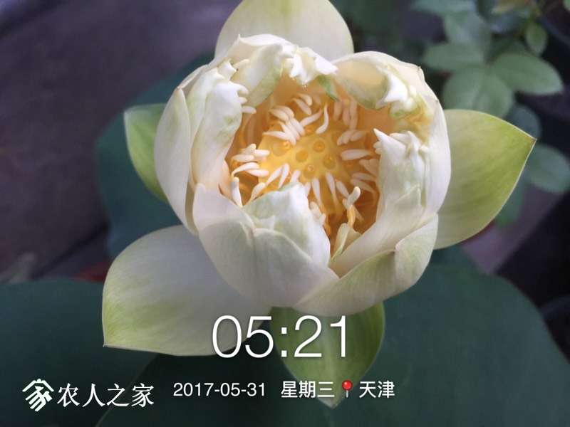 085518sjgmzr6ktmagjp6f.jpg