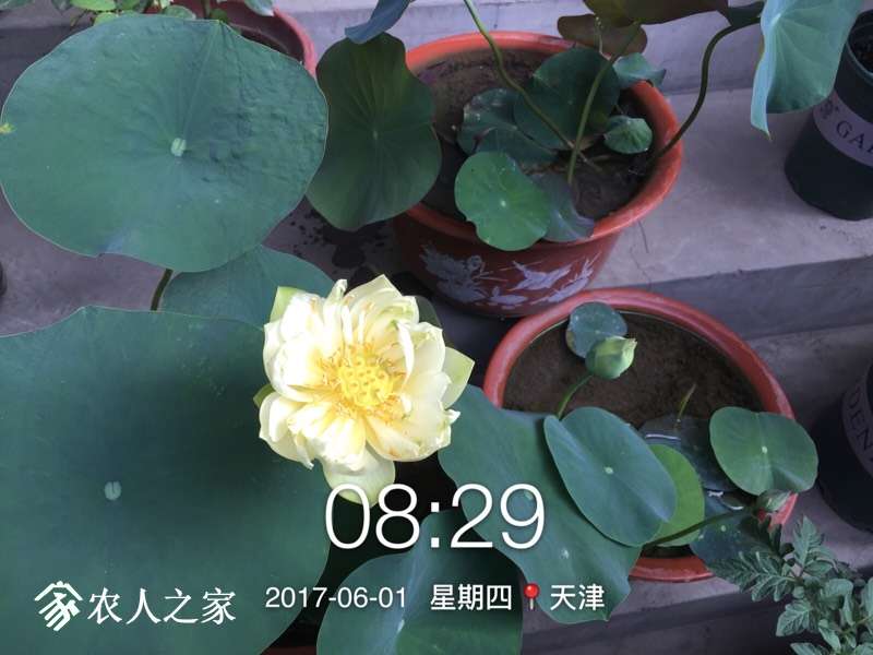 085518z6amau1wzzme0e2e.jpg