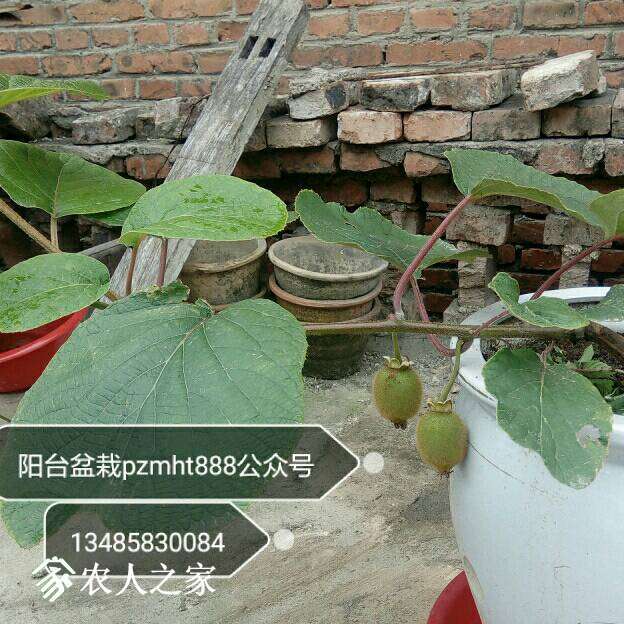 145447hvs275esknqksgqc.jpg