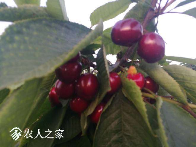 180844qiopzvw33wcuv2ne.jpg