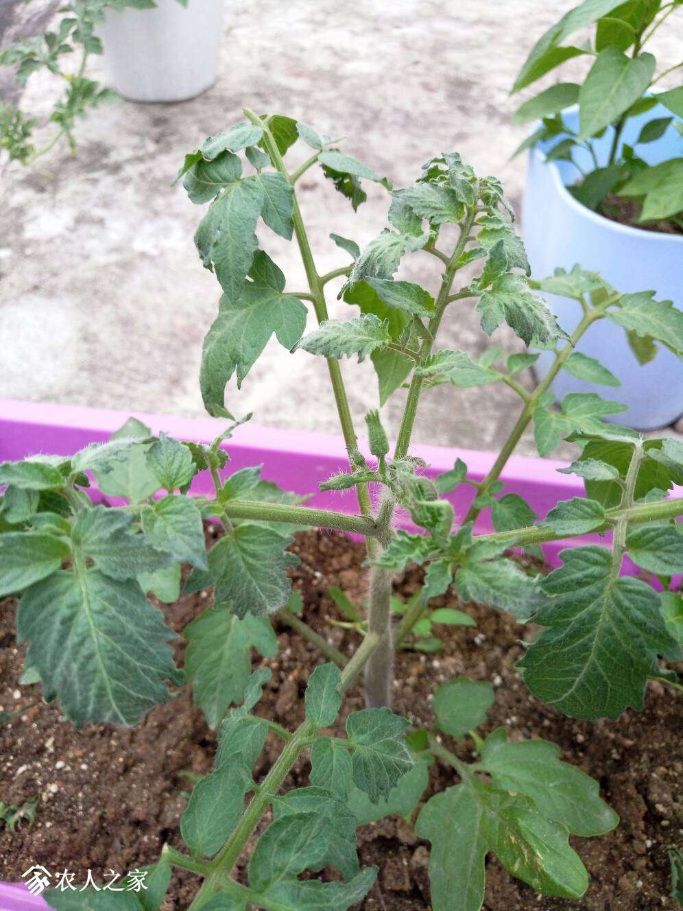221925mn22uz2fuumtofil.jpg