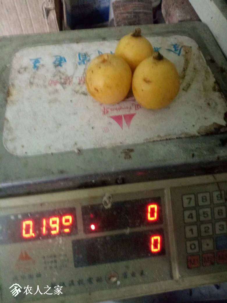 020003qppnznqn4n34xpnq.jpg