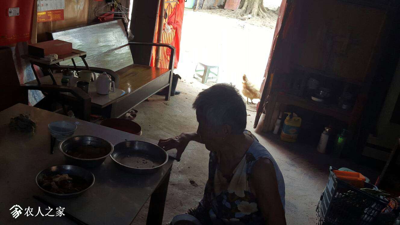 103649yzft4sml5wlpff0k.jpg
