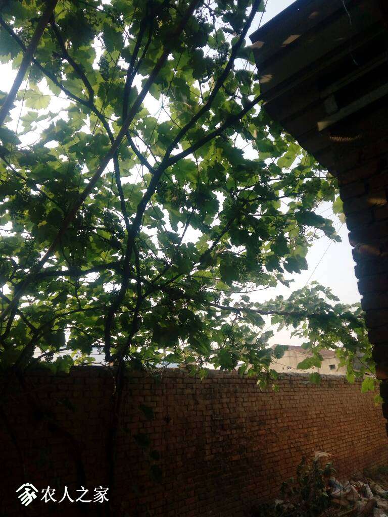 110513epddzpdkzdho1tth.jpg