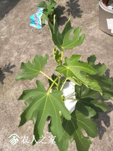 IMG_20170520_102415.jpg