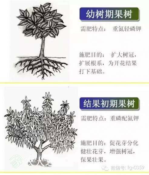 2.webp (1).jpg