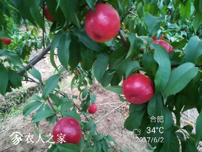 210052piwrheqe6cgjwch7.jpg