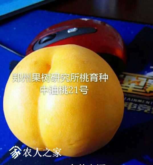 mmexport1490271242569.jpg