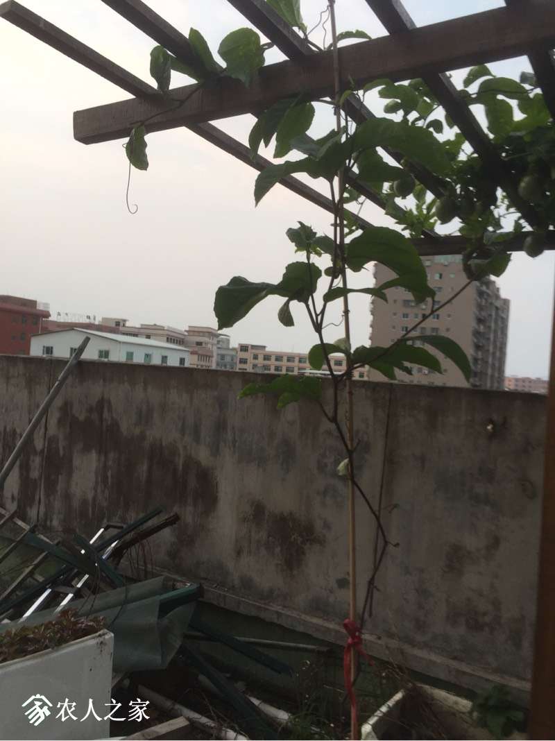 080319zkuzp8knx0h32xue.jpg