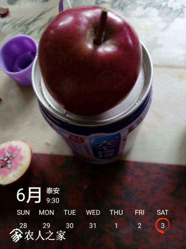 094825kaswnxjtxnxltjha.jpg