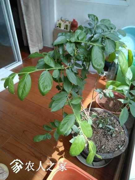 2017-06-03_12.37.16.jpg