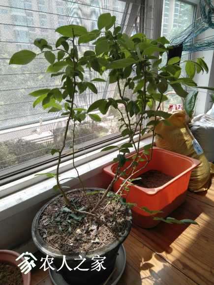 2017-06-03_12.38.36.jpg