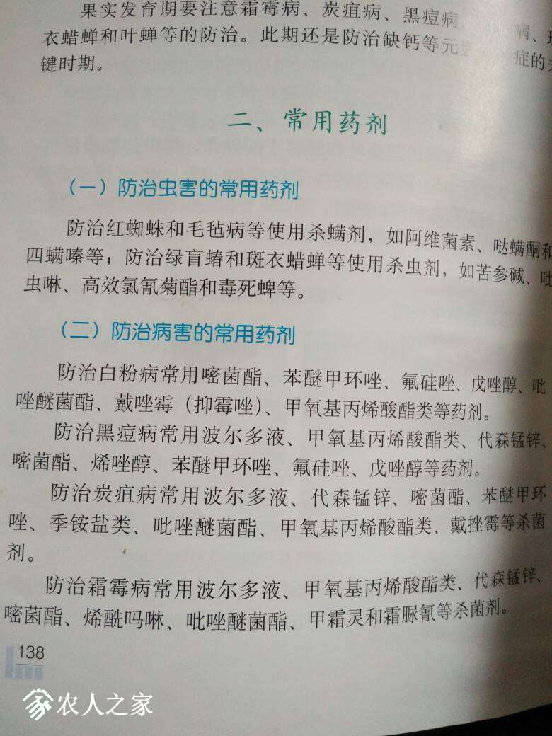 151610x1yec5cx561nci4u.jpg