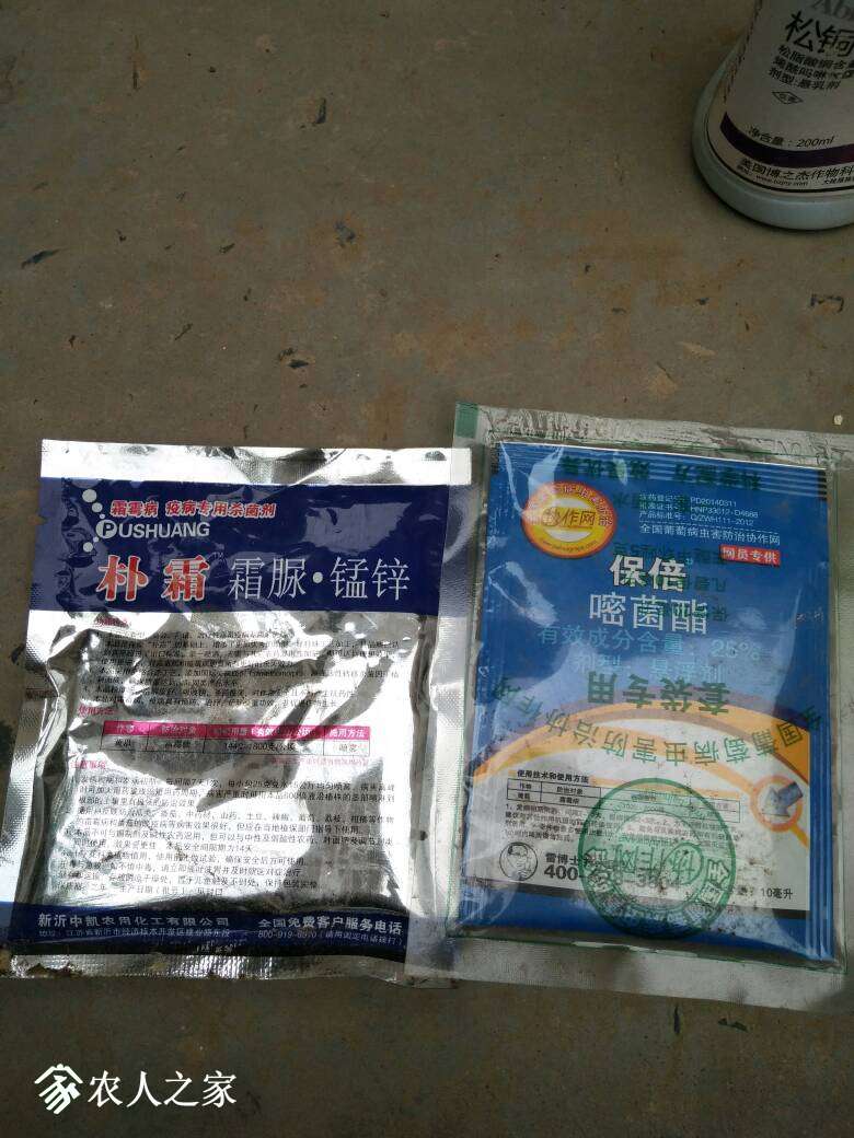 152102m6m076flu002a626.jpg