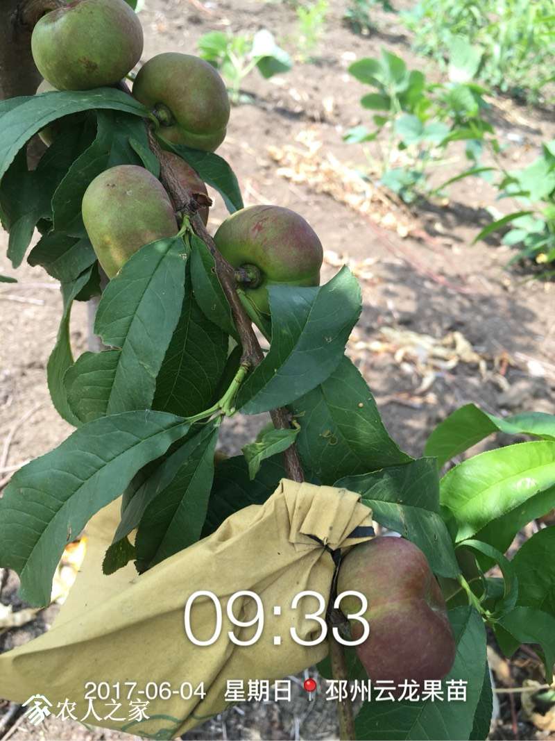 102234yjin5zdtdi1j44gg.jpg