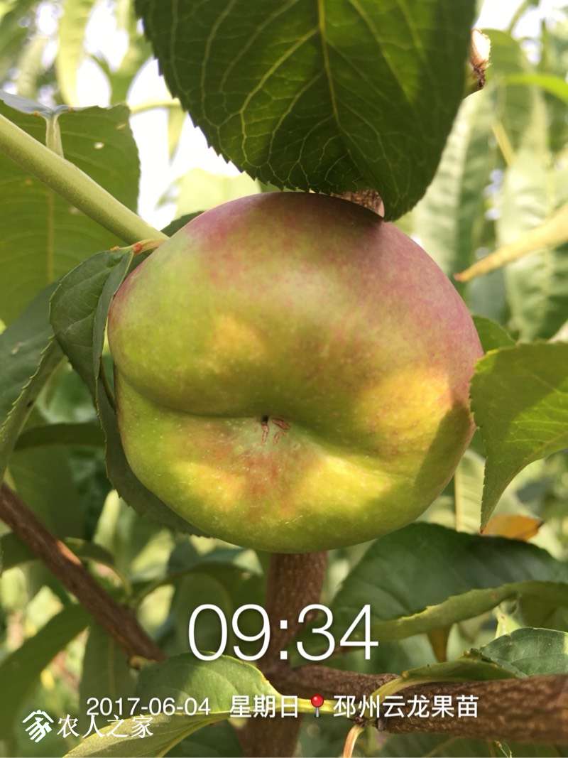 102234zeeednqec8nyctyj.jpg