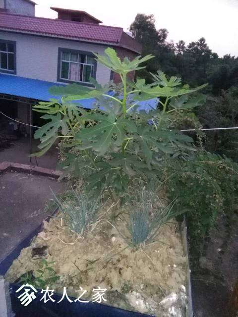 220414h7f66lnxbncylffy.jpg
