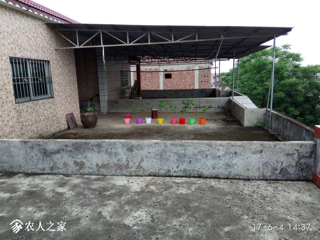 235435qrn622kxvjkkk219.jpg