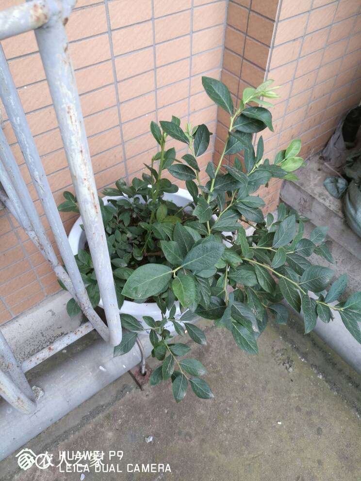 101042eyzhgzyhks3kzhyz.jpg