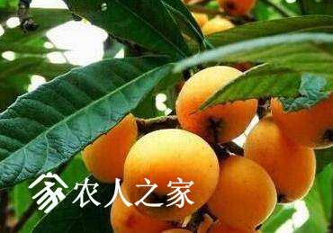 ˼޽Ӧʲôʱ䣿μ޽ӣ.jpg