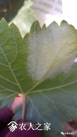 20170605_162447_014.jpg