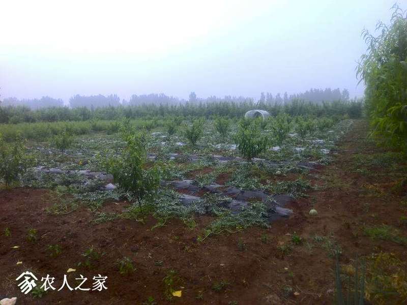 085906hrc5j6pkyr5jr6cr.jpg